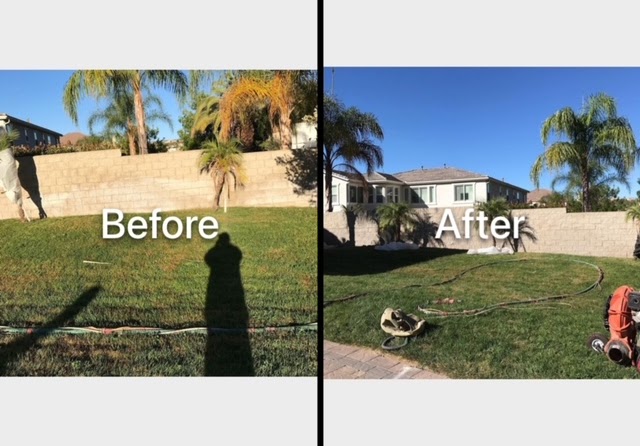 Before and after: the front yard and driveway of a single-storey house with palm trees, shown before work and after sandblasting.